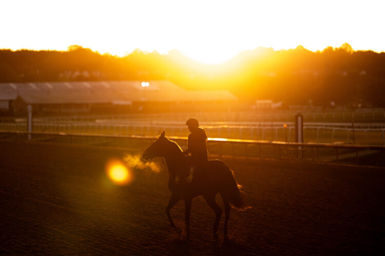 Preakness has everything except for Derby winner